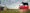 Banner image for Cox Cattle Co.
